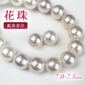 Ԏ AR^ lbNX 2_Zbg 7.0-7.5mm  COorsAX Zbg p[ Ԏ ^ lbNX Ӓ菑 ӕʏ   v[g AR {^ v`i Vo[ k
