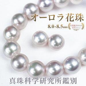 ʌ I[Ԏ p[ lbNX p[L[p[&NXt 8.0-8.5 CO sAXZbg 2_Zbg AR^ ^Ȋw ӕʏ  Ӓ菑 sAX ^  p[