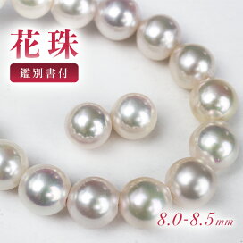 楽天市場】セール！更に得！全品割引クーポン☆花珠 パールネックレス 