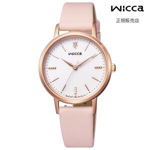 y}\ԌIvGg[ő100PobNzyEBbJ Kiz wicca \[[ebN KP5-166-14