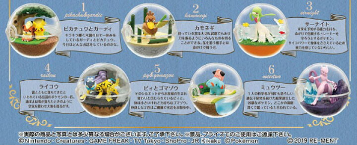 楽天市場 ポケットモンスター テラリウムコレクション7 6個入りbox 食玩 再販 リーメント 発売済 在庫品 あみあみ 楽天市場店