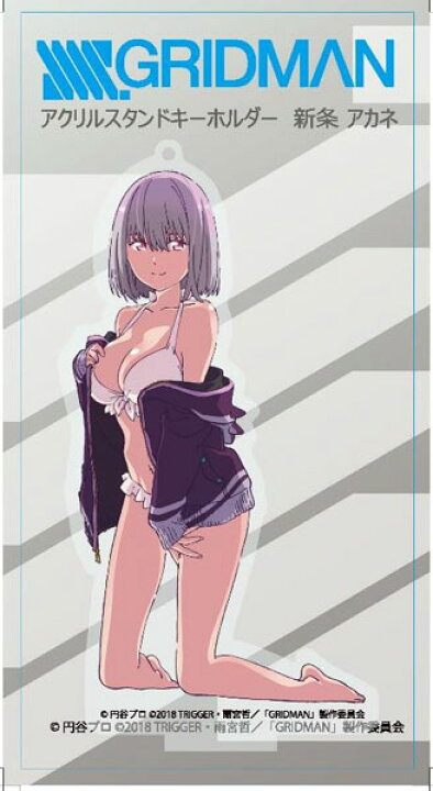 楽天市場】SSSS.GRIDMAN 描き下ろし アクリルスタンドキーホルダー 新 