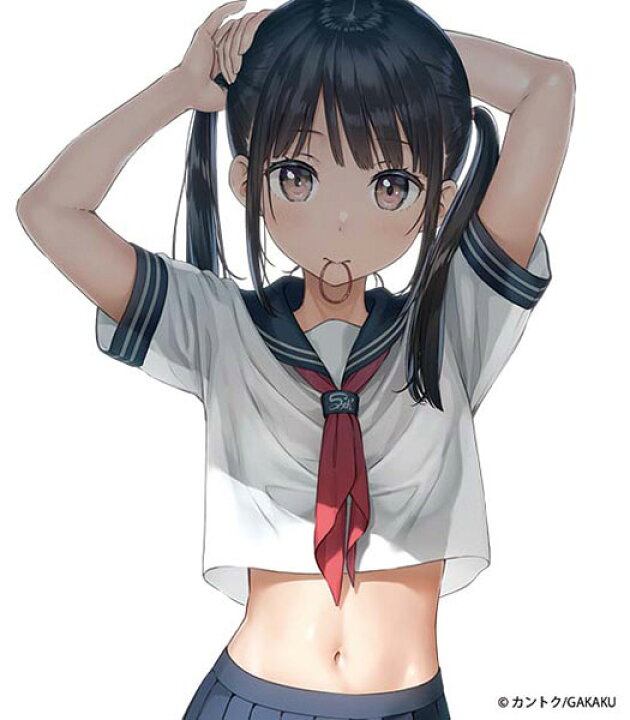 楽天市場】GAKAKUコレクション「セーラー服のまんなか」額装マグネット 