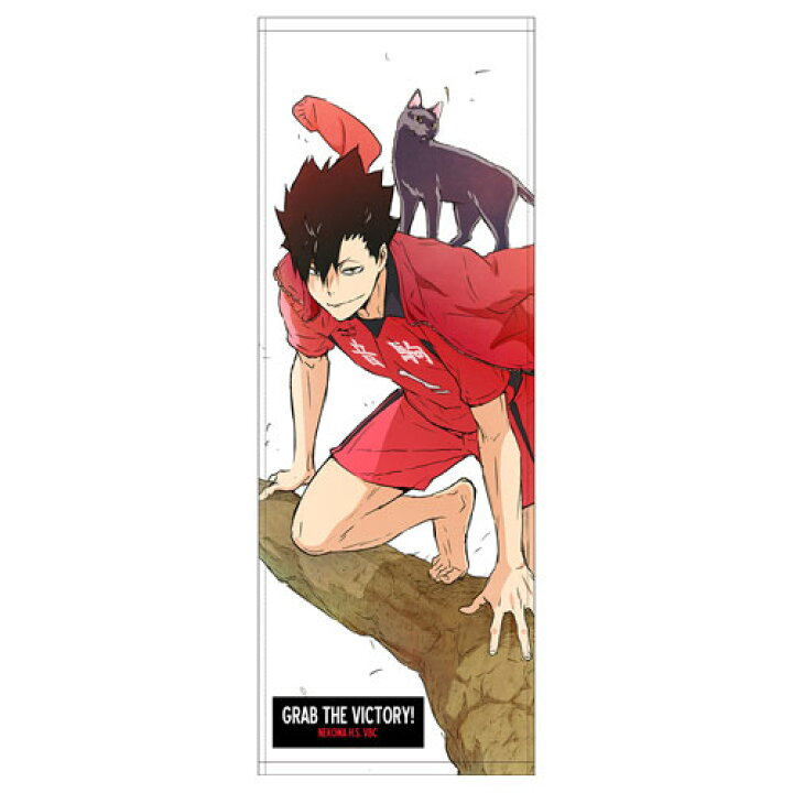 ハイキュー 162 ハイキュー 162話
