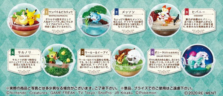 楽天市場 ポケットモンスター テラリウムコレクションex ガラル地方編 6個入りbox 食玩 リーメント 在庫切れ あみあみ 楽天市場店