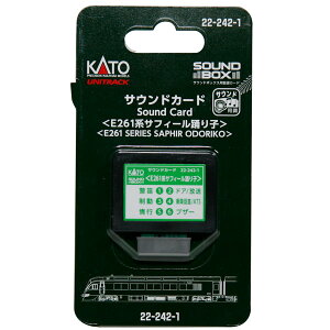 TEhJ[hqE261nTtB[xqr 22-242-1