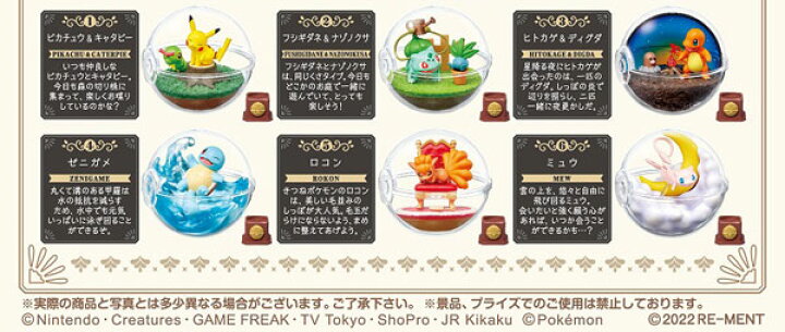 超爆安 送料無料 リーメント ポケットモンスター テラリウムコレクション10 Box 全6種セットフルコンプリートセット Riosmauricio Com