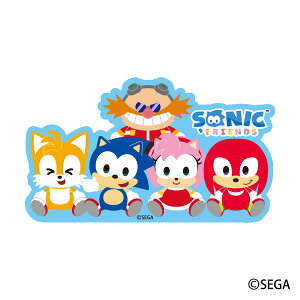SONICFRIENDS IWiXebJ[6.SONICFRIENDSW[ZKgCY]sρE݌ɕit