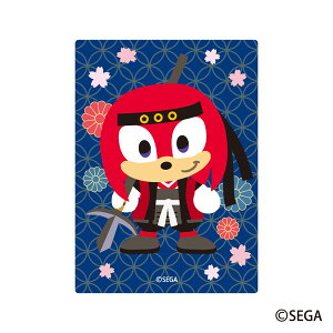 SONICFRIENDS IWiXebJ[10.퍑ibNY[ZKgCY]sρE݌ɕit