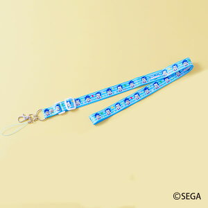 SONICFRIENDS lbNXgbv \jbN[ZKgCY]sρE݌ɕit