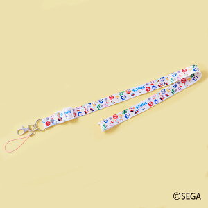 SONICFRIENDS lbNXgbv [ZKgCY]sρE݌ɕit