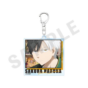 TVAjwWIND BREAKERx`favorite series` ANL[z_[(y)[coly]sρE݌ɕit