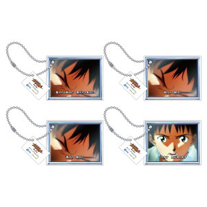 G@QI ANL[z_[4Zbg LA\(VW)[[rbN]sρE݌ɕit