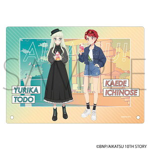 ACJcI ANA[gpl EѐHוVer. J[[rbN]sρE݌ɕit