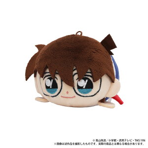 TRi ߂(ʂ݃}XRbg) ]ːRi[[rbN]sρE݌ɕit