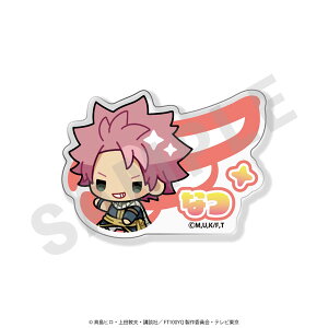 uFAIRY TAIL 100NNGXgv OobW ic[coly]sρE݌ɕit