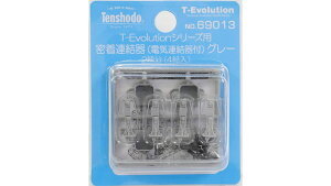 69013 T-Evolutionp A(dCAt)O[[Vܓ]sρE݌ɕit