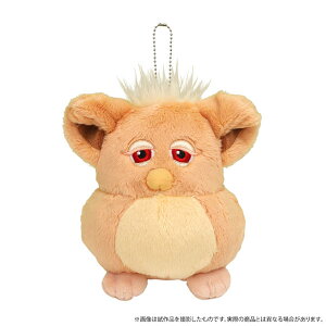 t@[r[ ʂ݃L[z_[ J Tropical mango[[rbN]sρE݌ɕit