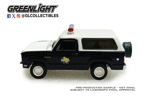 1/64 Hot Pursuit - 1978 Dodge Ramcharger - Texas Department of Public Safety[O[Cg]sρE݌ɕit