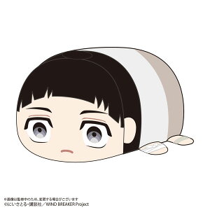WIND BREAKER ۂăR}XRbgBIG3 FFG[}bNX~ebh]sρE݌ɕit