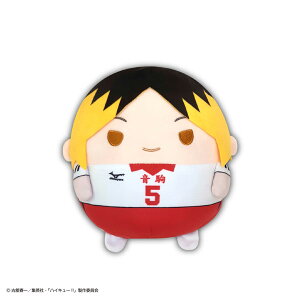 nCL[II ӂRMsize6 DFǒ܌iĔ́j[}bNX~ebh]sρE݌ɕit