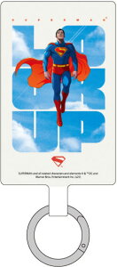 fwX[p[}x }`OvX LTCY C^Cv[O}fB[Y]sρE݌ɕit