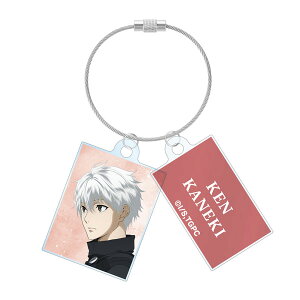 TVAjwg[L[O[x `낵 ، ver. 2AC[ANL[z_[[A}rAJ]sρE݌ɕit