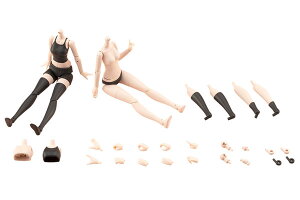 nʏ뉀 hXAbv{fB[S]J[C Ver. 1/10 vf[RguL]s01\t