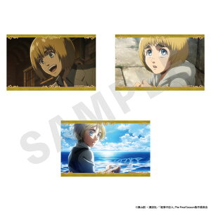 TVAjwi̋lx rWAJ[h3ZbgA(A~)[coly]sρE݌ɕit