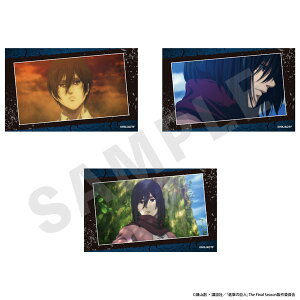 TVAjwi̋lx rWAJ[h3ZbgB(~JT1)[coly]sρE݌ɕit