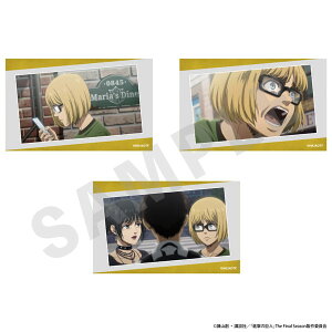 TVAjwi̋lx rWAJ[h3ZbgB(A~2)[coly]sρE݌ɕit