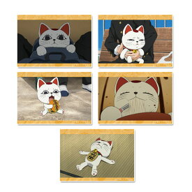 TVアニメ『ダンダダン』 ブロマイドセット ターボババア(招き猫)[シーズナルプランツ]《発売済・在庫品》