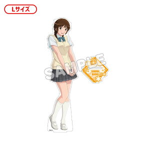 A}K~SS 15th Anniversary ANtBMAL ĕ 䗜q[TBSOEfBA]sρE݌ɕit