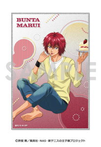 VejX̉ql ANF`났^C` 8.ۈu[\EC^[iVi]s12\t