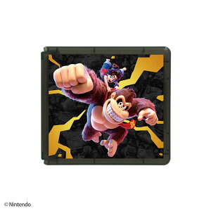 Nintendo Switch 2 pJ[hP[X J[h|Pbg24 hL[RO oiU[}bNXQ[Y]s11\t