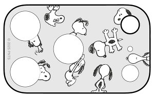 s[ibc iPhone17ProΉ JJo[ [O}fB[Y]s12\t