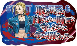 Xg[gt@C^[6 XebJ[ L~B[[rbN]s01\t