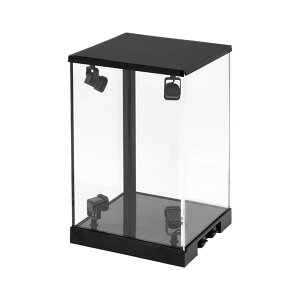 PLEDfBXvCP[X[~J]sρE݌ɕit