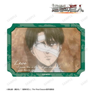 TVAjwi̋lx @C ʎʃ_CJbgXebJ[ vol.3[A}rAJ]s02\t