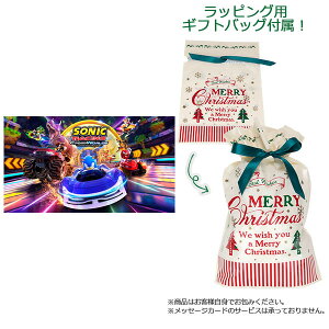 yMtgobOtzNintendo Switch \jbN[VO NX[h[ZK]yszyzsρE݌ɕit