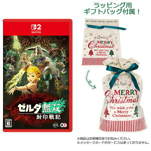 yMtgobOtzNintendo Switch 2 [_o L[R[G[eNQ[X]yszyzsρE݌ɕit