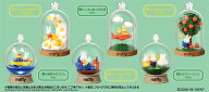 miffy Terrarium たのしいまいにち 6個入りBOX[リーメント]《発売済・在庫品》