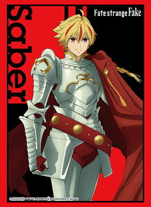 �u�V���[�h �X���[�u�R���N�V���� �n�C�O���[�h Vol.5160 Fate/strange Fake�w�Z�C�o�[�x �p�b�N[�u�V���[�h]�s06���\��t