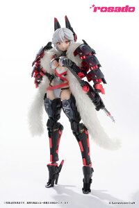 rosado Project RS-01 EZLR 1/10 iANVtBMAiĔ́j[j]sρE݌ɕit