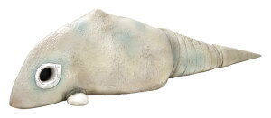 1/6BV[Y 񎟌b K@h(A)[CCP JAPAN]yzsρE݌ɕit