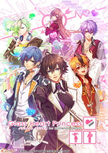 y݂݌ŁzyTzSwitch Glass Heart Princess for Nintendo Switch ʏ ami-himepbN[ACfBAt@Ng[]s01\t