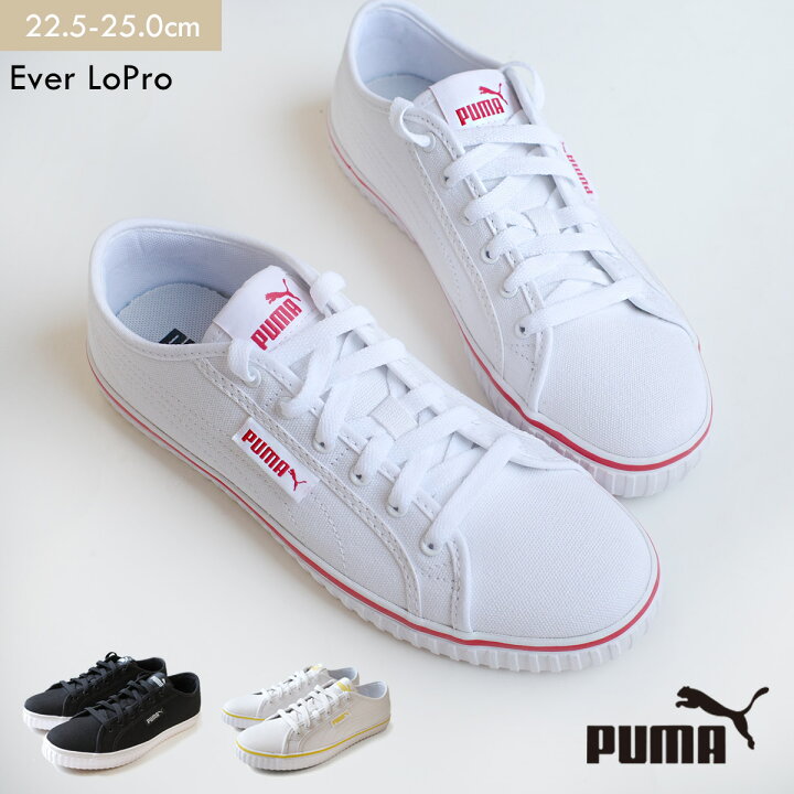 スニーカー キャンバス ローカット PUMA プーマ エヴァー ローカット プロ CV 1.5センチヒール カジュアル レディース 歩きやすい レースアップ ホワイト ブラック 22.5 25.0 フラット シンプル スポーツ 脱げない トラベル 旅行 アミアミ AmiAmi アディダス ピュアメタル ボア プラス 25.0cm ホワイト