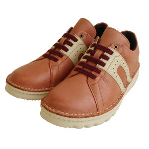 10%OFFN[|Xj[J[ fB[X ₷ VRv y y { JWA^EV[Y EH[LOV[Y Dola A.S.W (h) Gt 3.5Z`q[ O SR  