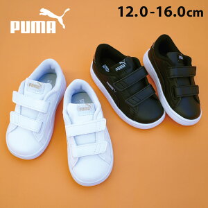 15N[|JWA [Jbg Xj[J[ PUMA xr[ v[} X}bV V2 ^bN V Xj[J[ ₷ LbY WjA xr[ ۈ牀 ct zCg ubN 12.0 16.0