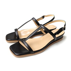 T_ fB[X [q[ ؂ ₷ {v Xgbv EGbW\[ XNGAgD obNXgbv 3Z`q[ ₷ EȂ { ubN zCg V